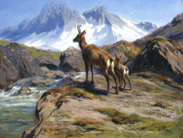 Museum of Wildlife Artist